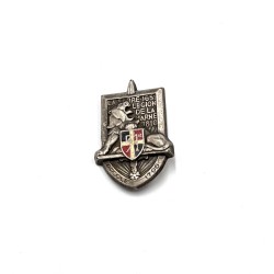 Insigne 51e Regiment...