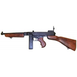 Thompson 1928 Denix