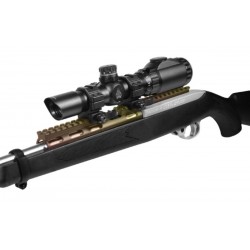 Rail scout Ruger 10/22